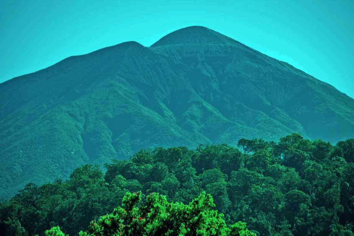 Menjelajahi Jambi: Permata Tersembunyi di Tengah Sumatra